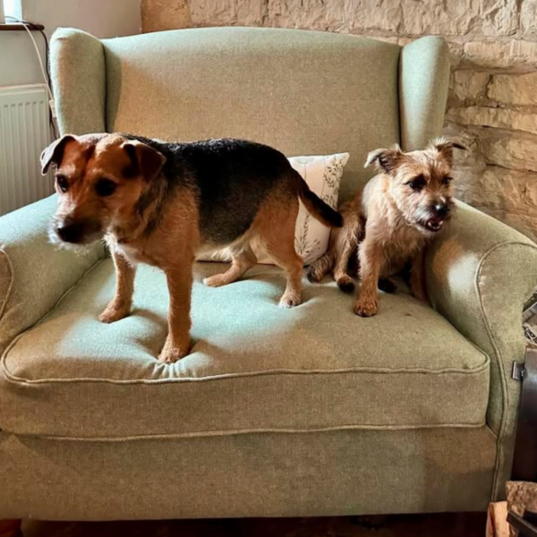 Upholstery project completed by Creature Comforts Upholstery